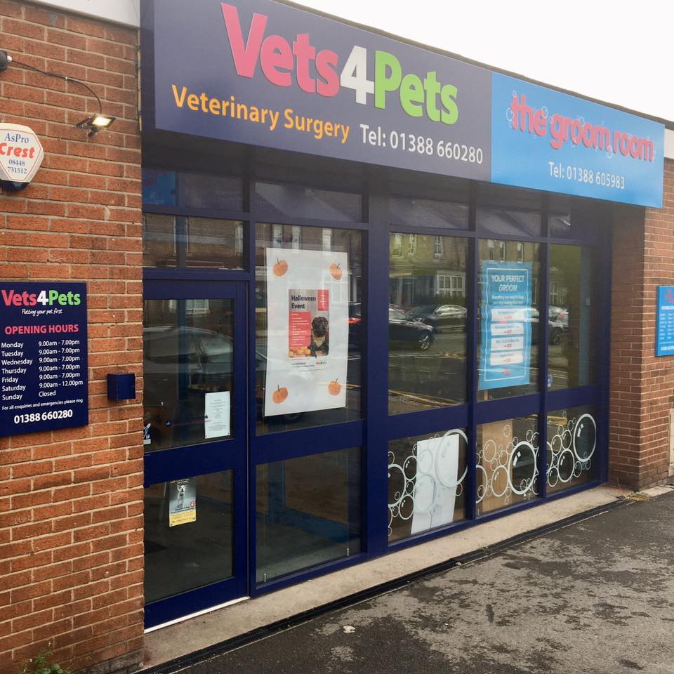 Practice Ownership Vets4Pets Bishop Auckland