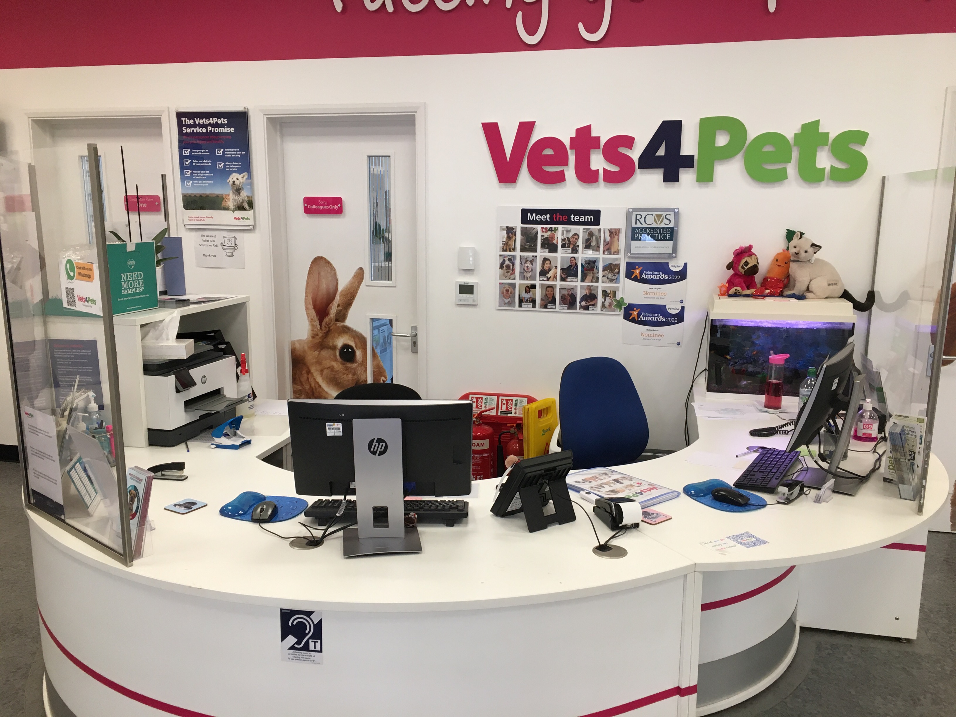 Practice Ownership Vets4Pets Gillingham