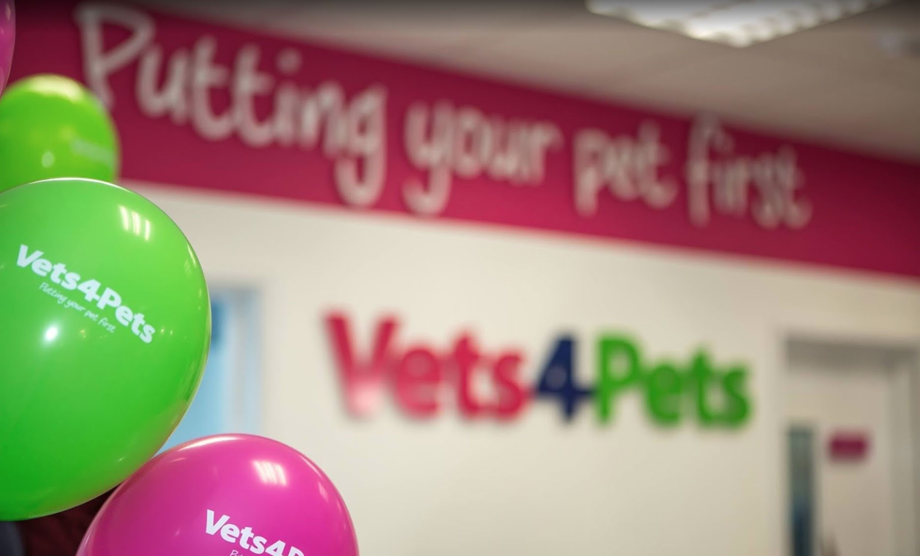 Vets4pets find a store practice