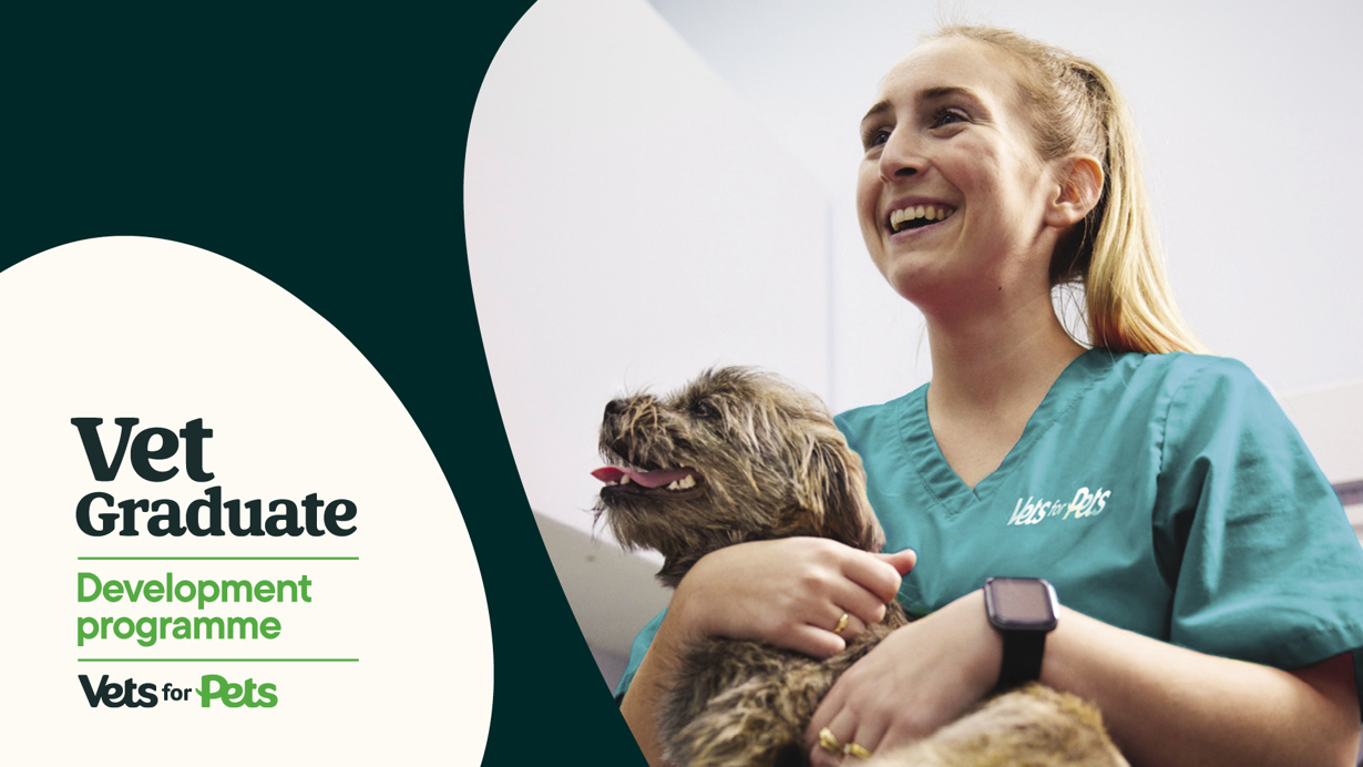 Graduate Programme | Veterinary Careers | Vets4Pets