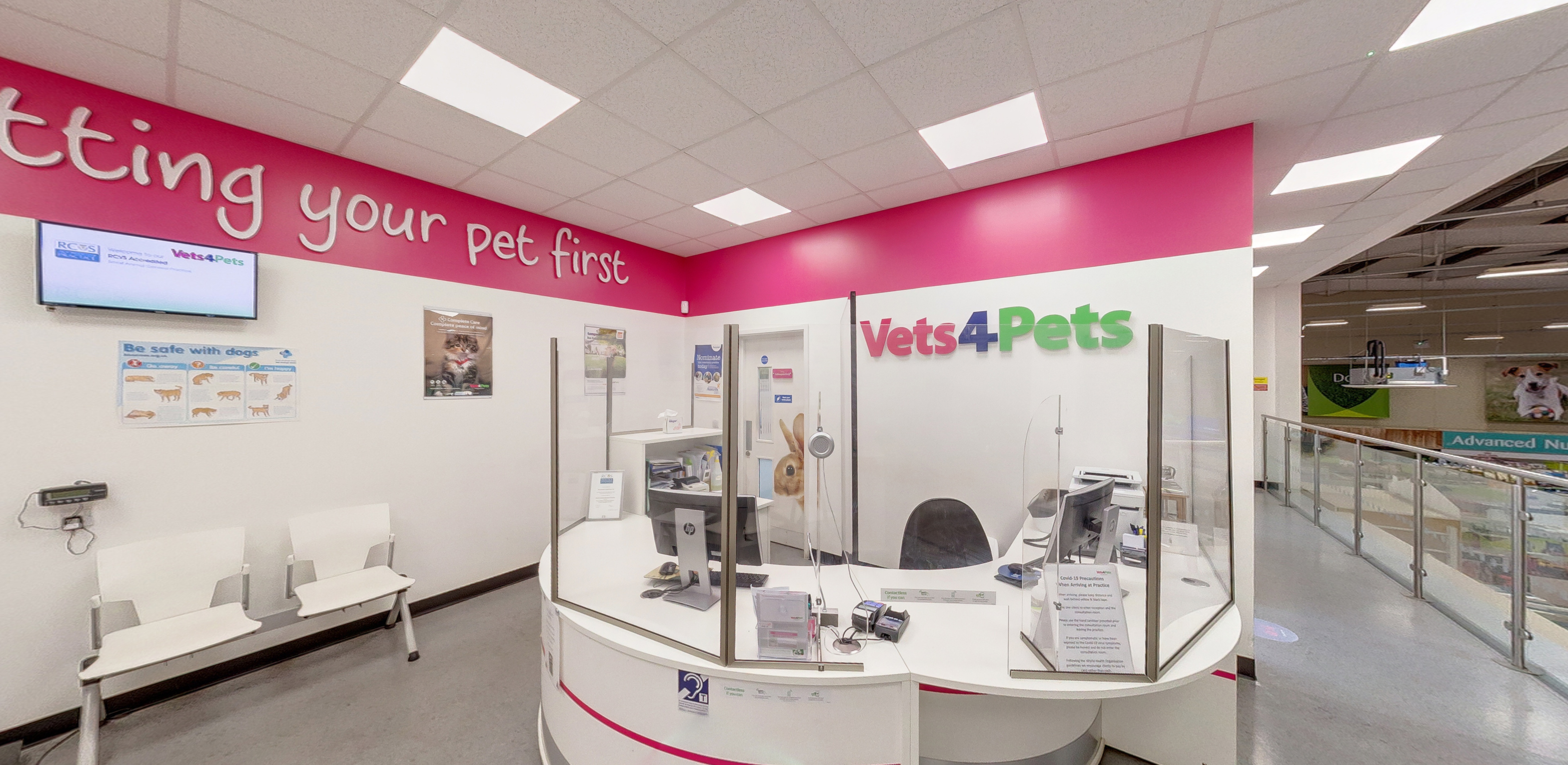 Vets for pets store leigh on sea