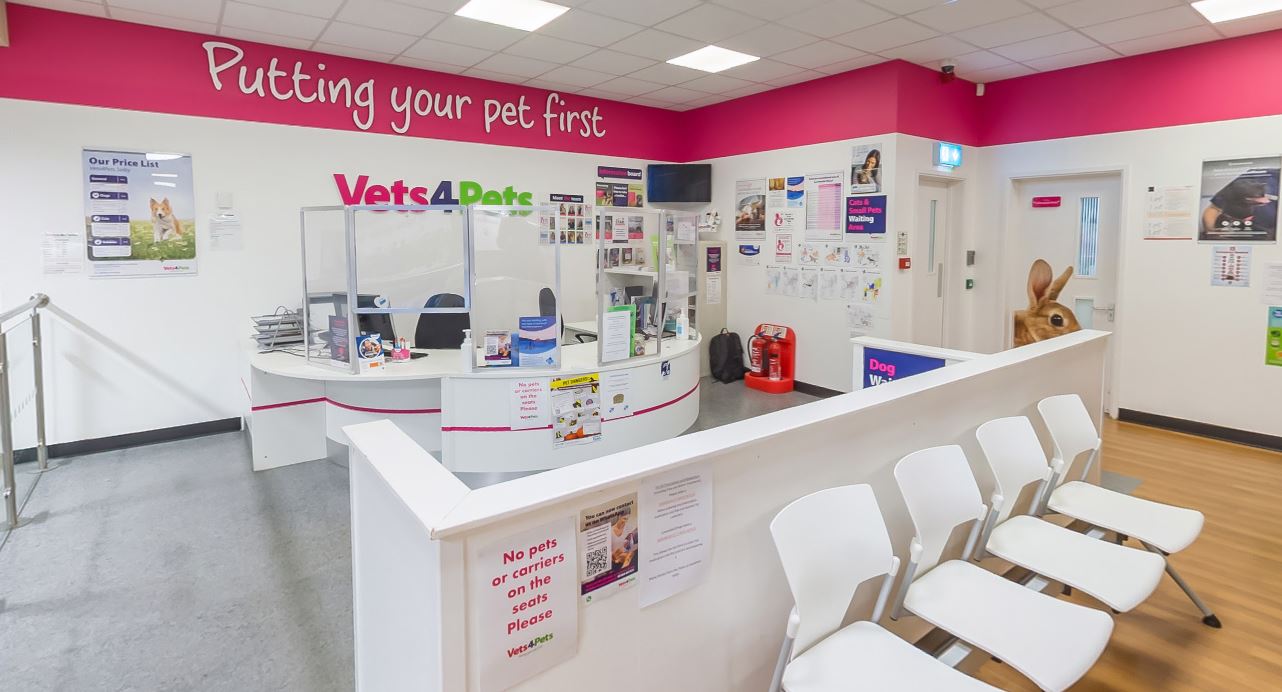 Vets4pets x ray store prices