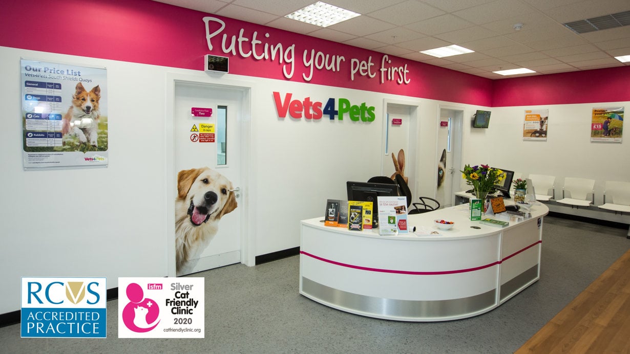 Vets4Pets South Shields Quays Partnership Opportunity | Vets4Pets