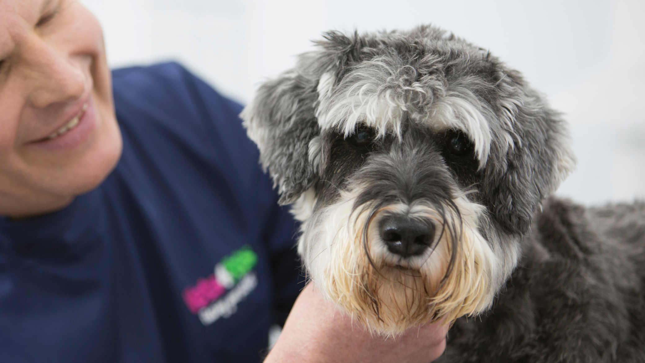 your-journey-to-practice-ownership-blogs-vets4pets