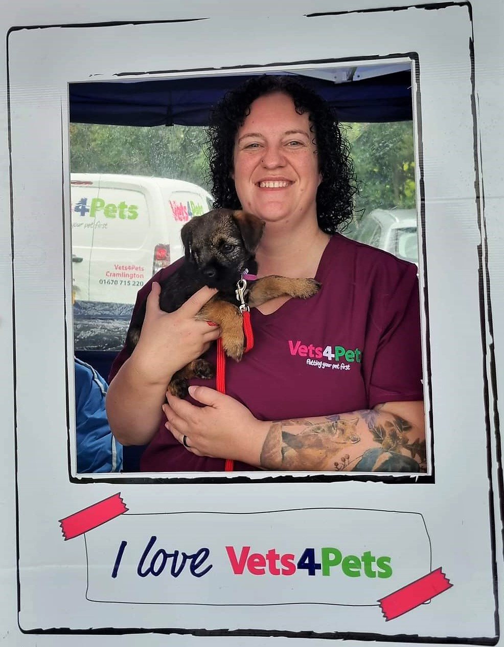 Vets4pets sales dental offer