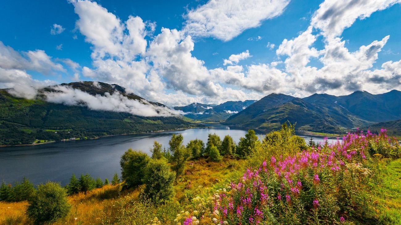 Scotland - iStock